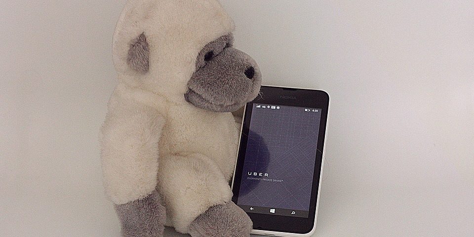 Foto de um macaco com um celular no app Uber